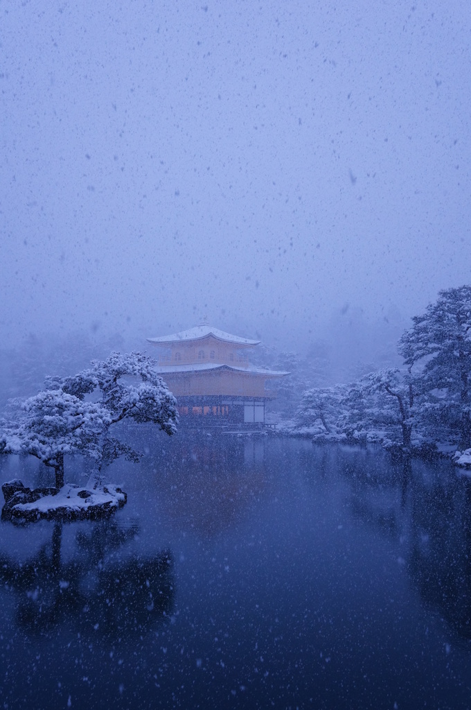 金色と吹雪3