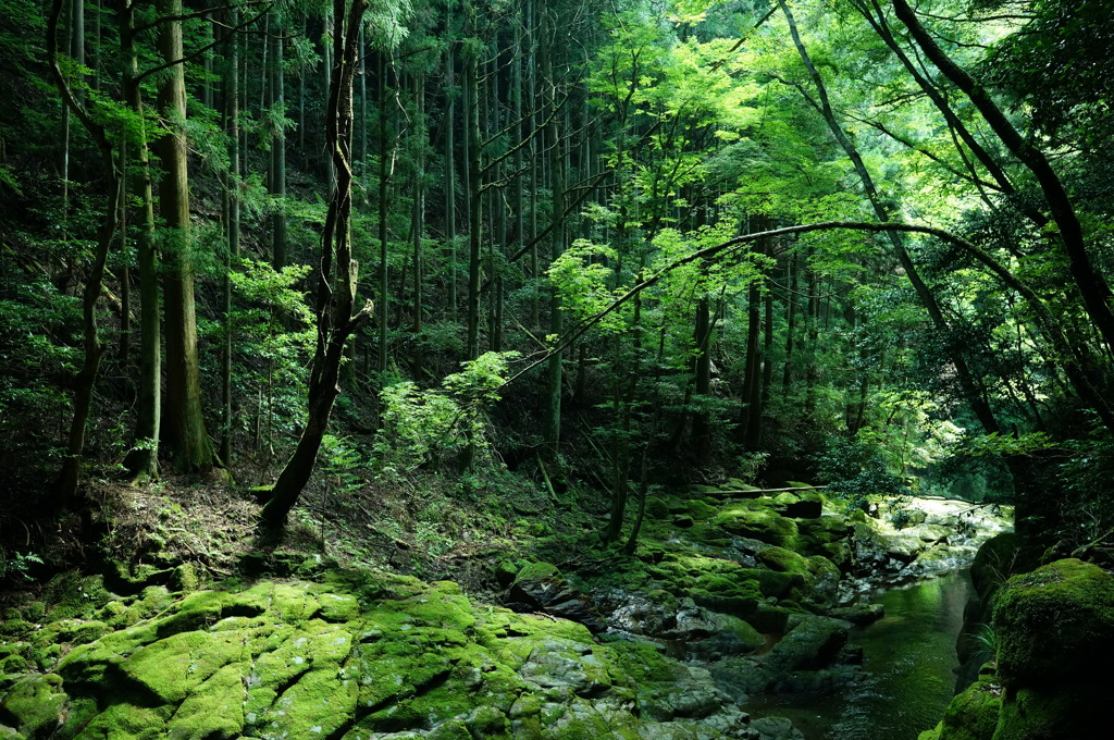 赤目四十八滝