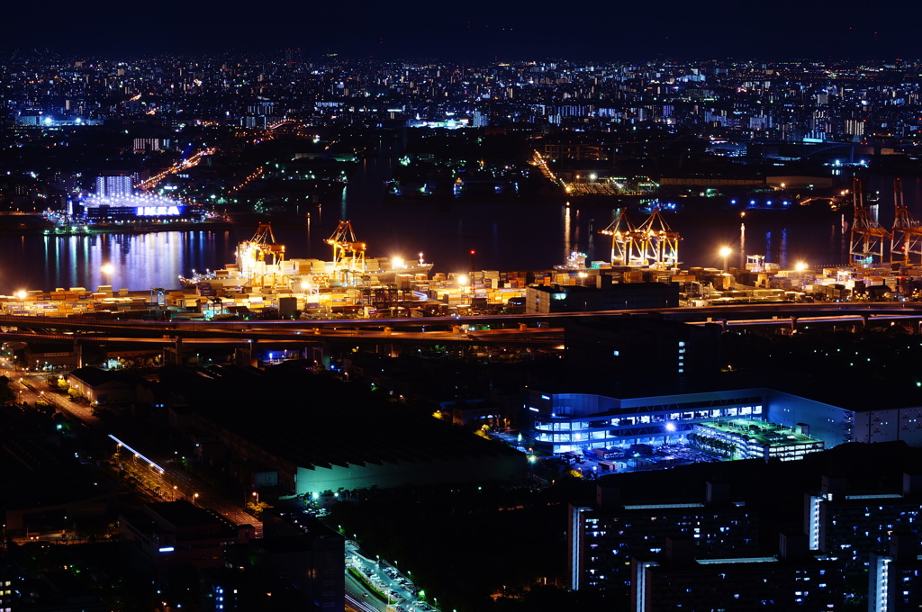 南港NIGHT