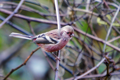 DSC06802