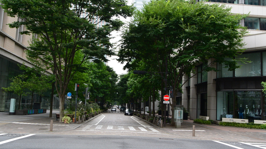 東京駅近郊　丸の内仲通り