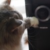 開けてあげます。