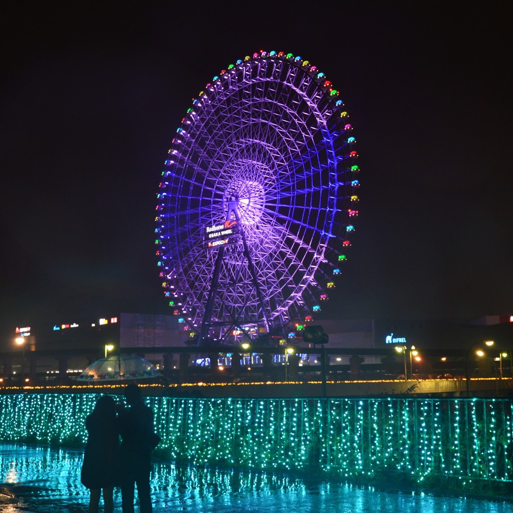 雨の12月　万博記念公園の観覧車