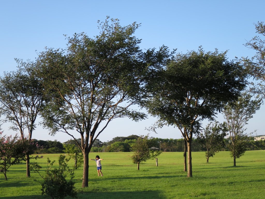 公園