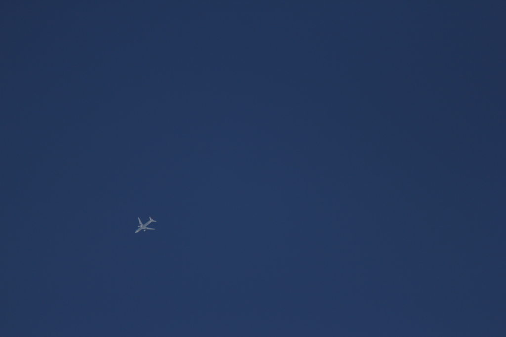 飛行機のおなか