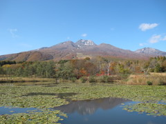 いもり池と妙高山