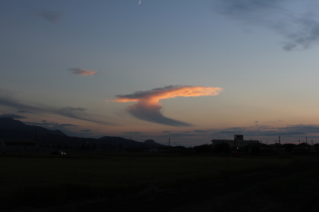 火の鳥