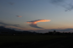 火の鳥