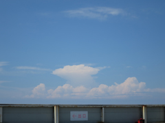 空中庭園