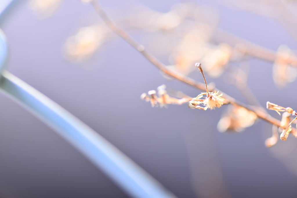 冬の息吹〜空気のように〜