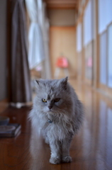 ジャム君