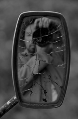 D7K_7885