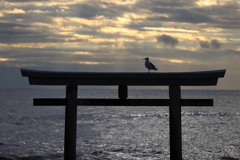 鳥と鳥居