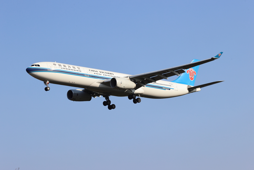 久しぶりの飛行機写真