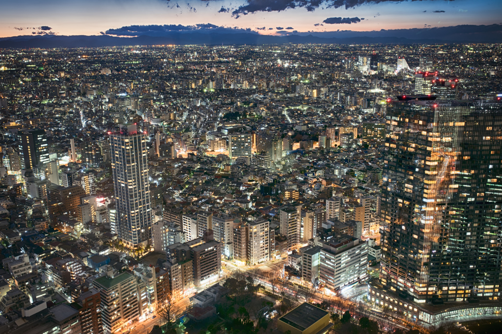 東京都庁舎 Today