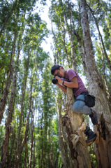 木の写真家