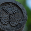 大樹寺