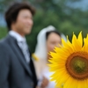 ひまわりと新郎新婦