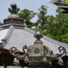 専修寺2
