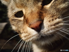 ん？