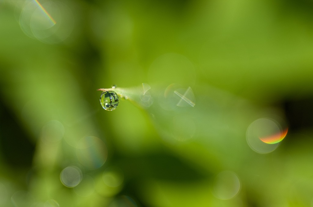 雨滴