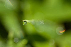 雨滴