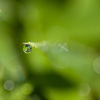 雨滴