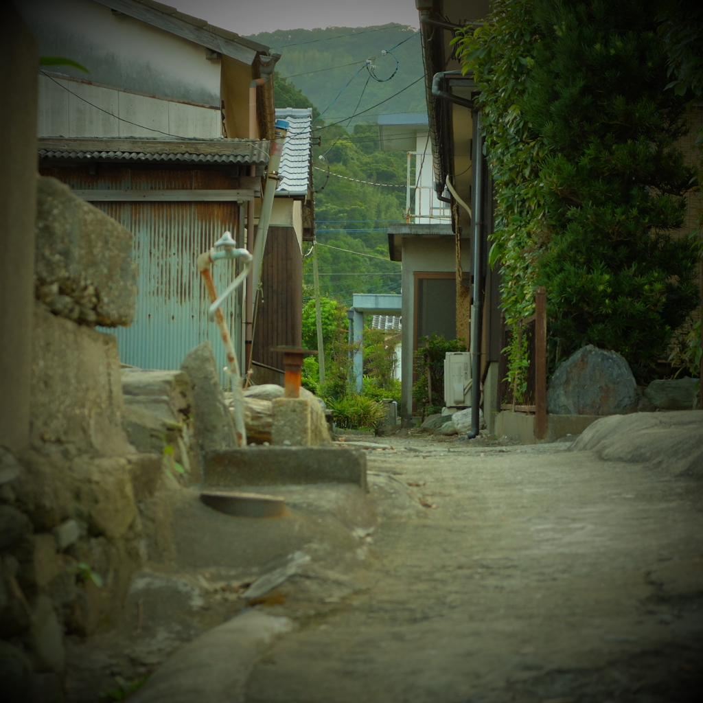 DSCF3658