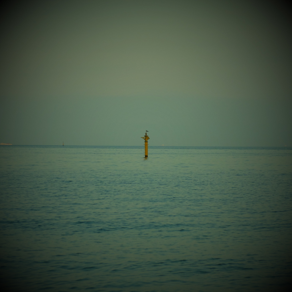 DSCF3642
