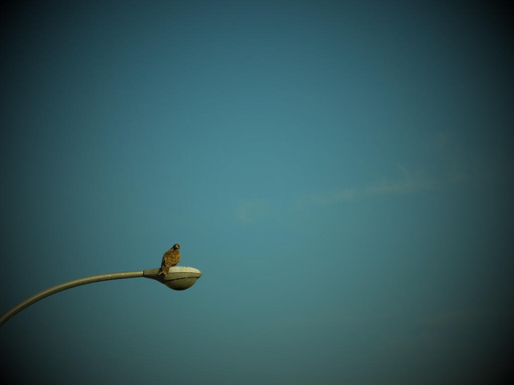 DSCF3506