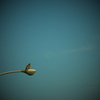 DSCF3506