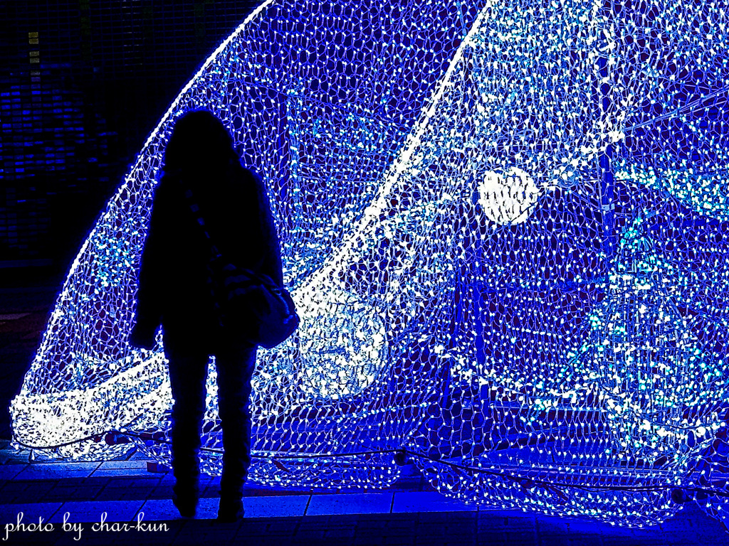 Winter night walk