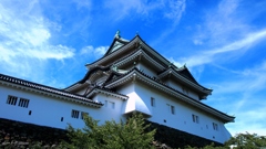 和歌山城と夏空