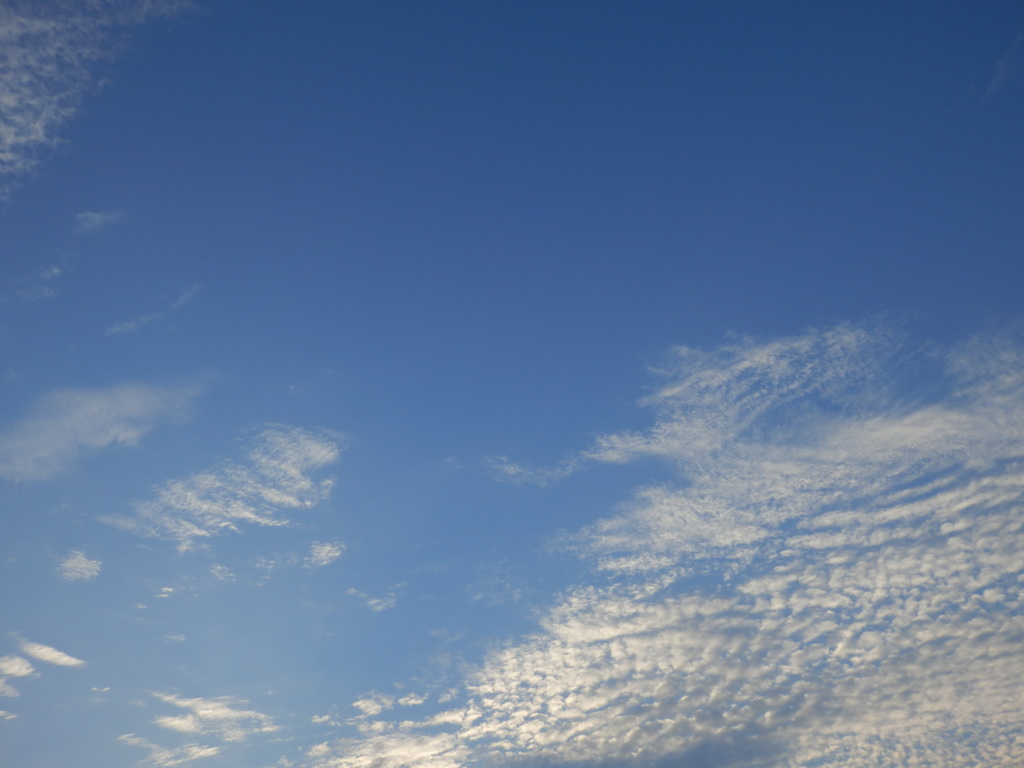 今朝の空 20141021