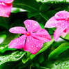 雨 多いなぁ～