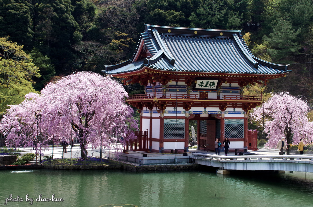勝尾寺 春景 Ⅲ