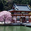 勝尾寺 春景 Ⅲ