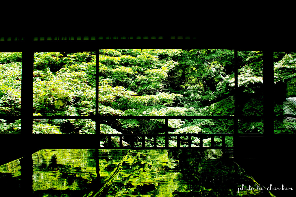 喧騒を離れて～瑠璃光院 Ⅰ