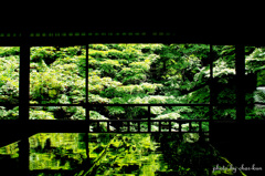 喧騒を離れて～瑠璃光院 Ⅰ
