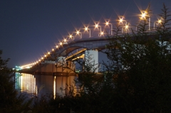 琵琶湖大橋 夜景