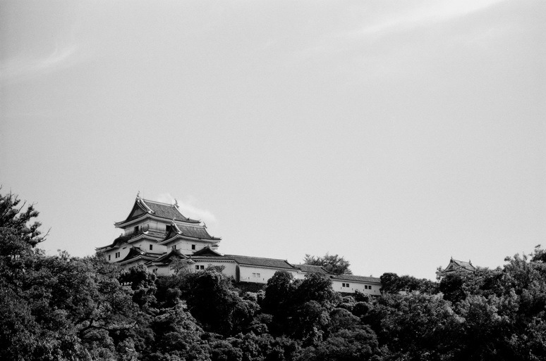 和歌山城遠景