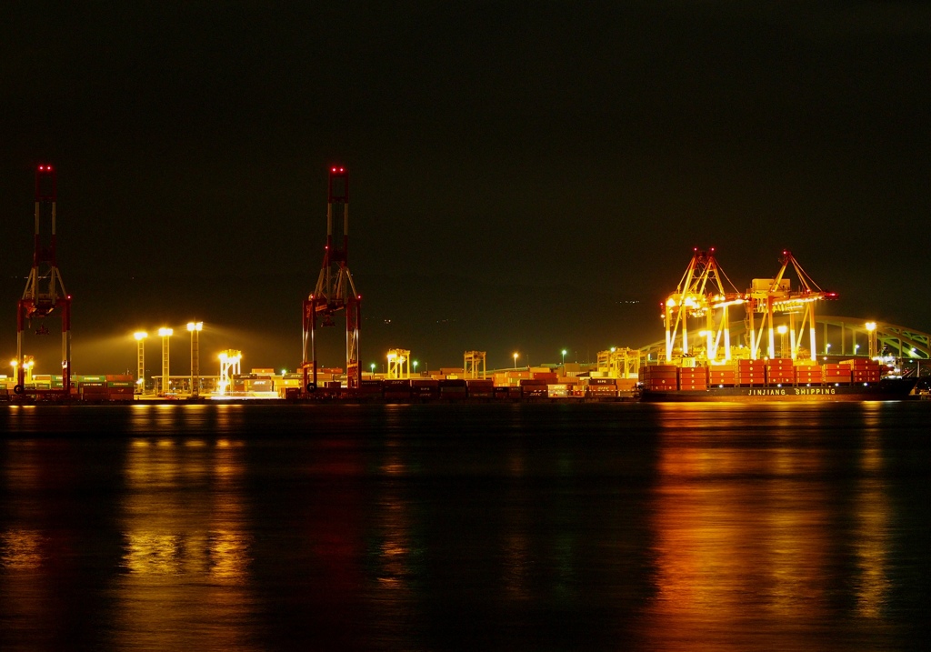 Night of Osaka-Bay #2