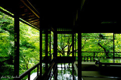 喧騒を離れて～瑠璃光院 Ⅱ