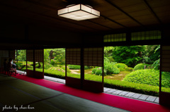 大輪の間 Ⅰ～雲龍院