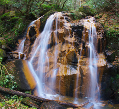 鶏鳴の滝