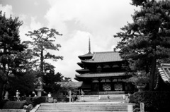 法隆寺/中門と五重塔