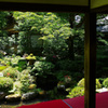 深緑の三千院 庭園