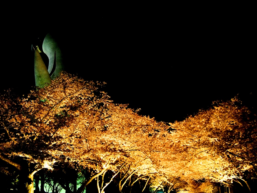 万博公園～夜桜