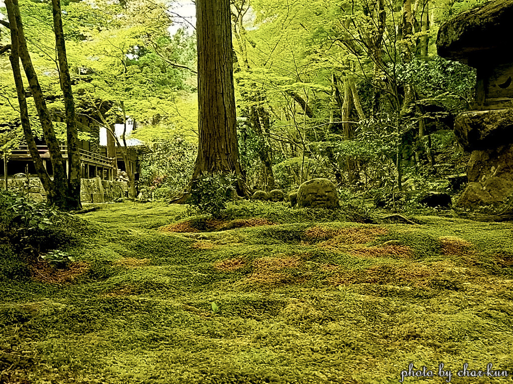 苔色の情景