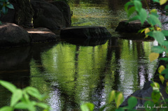 さざめく水面